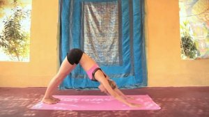 Сурья Намаскар с Зап, видеоурок. Шивананда йога