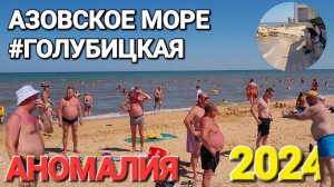 Где загорать без лифчиков!? #Голубицкая. Скрытые места на Азовском море.