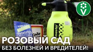 ВОЛШЕБНОЕ СРЕДСТВО ДЛЯ РОЗ ОТ БОЛЕЗНЕЙ И ВРЕДИТЕЛЕЙ! Шикарный розовый сад без использовании химии