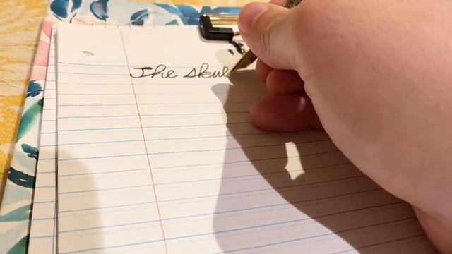 Asvine V-126 Fountain Pen Review