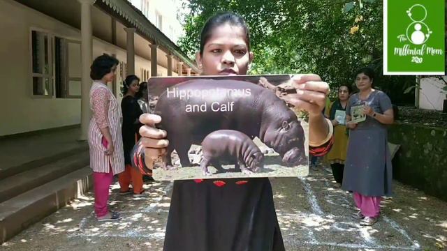 Animals Fun Game| Animals and Their Young Ones|Animal Habitats|Animal Learning Activity|Animal Crie смотреть онлайн