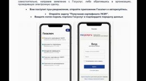 Госключ. Инструкция по применению