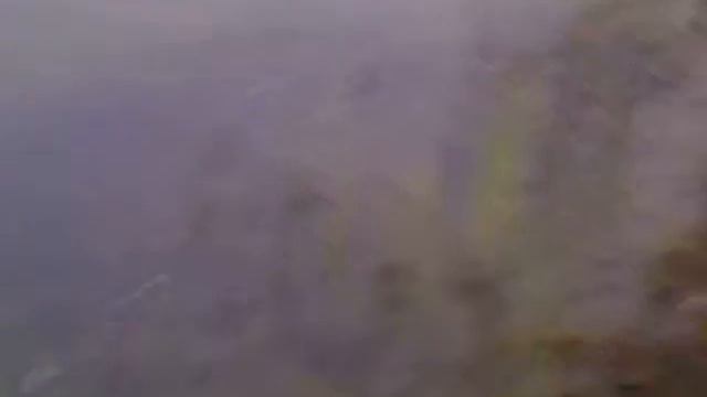 БОБЕР смотреть онлайн