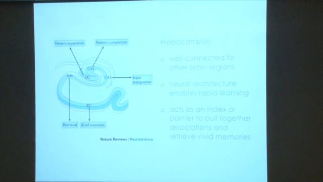 Dr. Indre Viskontas, Stories on the Brain смотреть онлайн