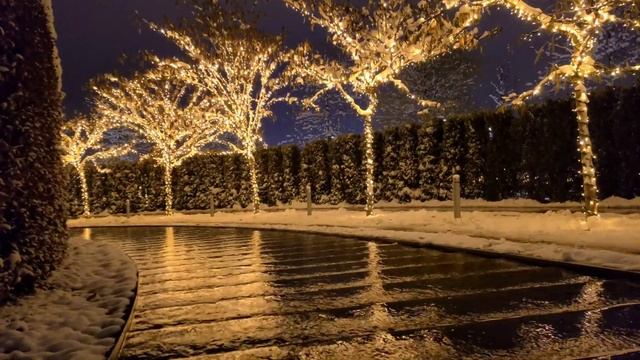 Парк Галицкого 21.12.2020г. ❄️☃️?? смотреть онлайн