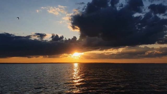 Медитация Здоровья смотреть онлайн