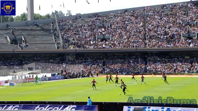Pumas 1-0 Veracruz | El Color de la Liguilla смотреть онлайн