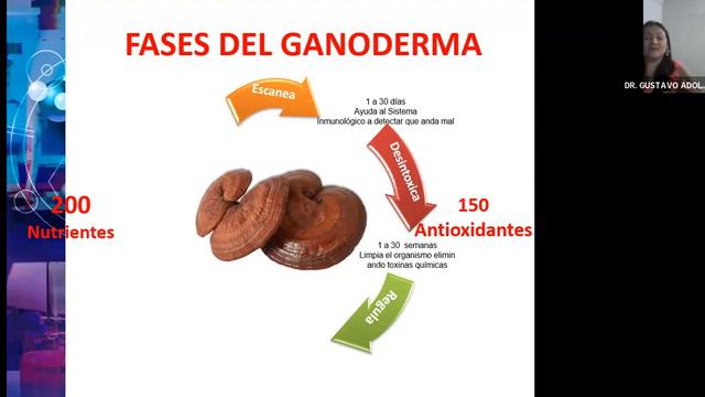 LAS 5 ETAPAS DE ACTUACIÓN DEL GANODERMA LUCIDUM DE GANO EXCEL смотреть онлайн
