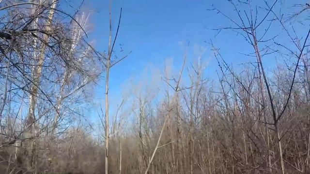 Я КУПИЛ МЕТАЛЛОИСКАТЕЛЬ С АЛЛИЭКСПРЕСС ДЛЯ ПОИСКА ЧЕРМЕТА HOOMYA GC 1071 Коп металла 2023 смотреть онлайн