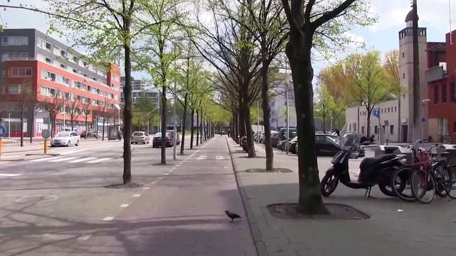 Walking the parks in Amsterdam ( Vondelpark - Rembrandtpark - Erasmuspark - Westerpark) смотреть онлайн