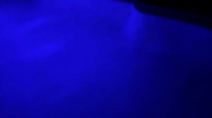 Как живет средний класс в США Флорида. Рум тур и прогулка по району.