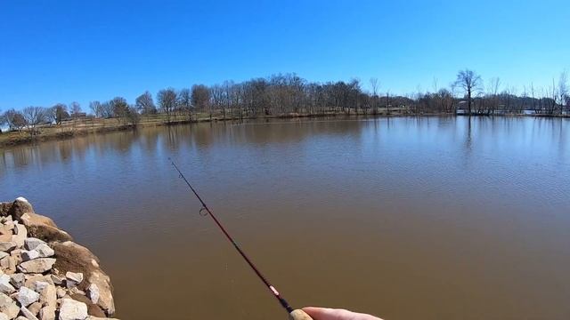 Late winter bass vs 1" gulp minnow смотреть онлайн