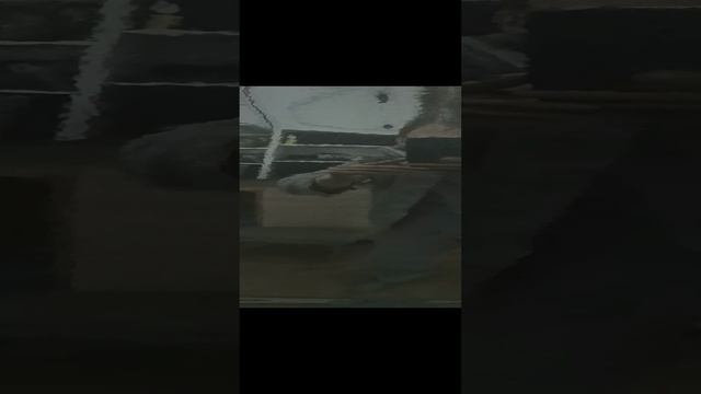 Ремонт и покраска бампера Шевроле Авео т250