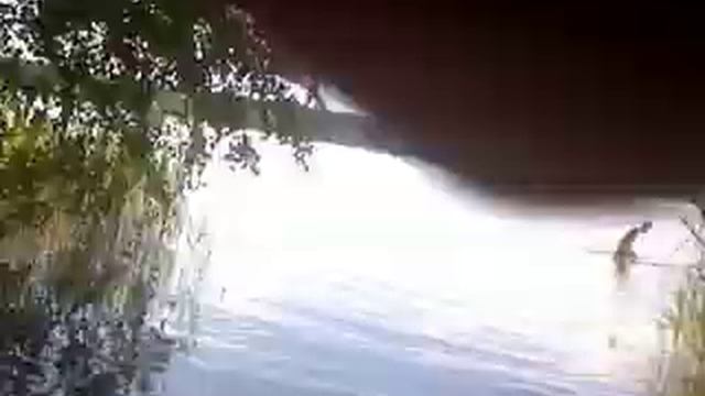 Нырнул ))) смотреть онлайн