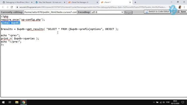 39007 - Curso Debug WordPress - Savequeries смотреть онлайн