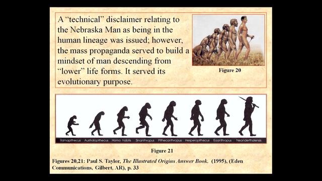 The "Skull" of Java Man Was Actually the Kneecap of an Elephant! смотреть онлайн