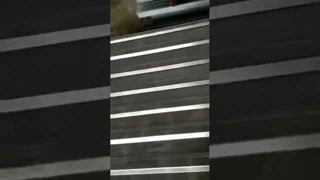 МП20 1.15*3.0 пассивация 1200 руб/шт смотреть онлайн