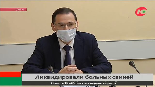 В Сургутском районе ликвидировали более 400 больных свиней смотреть онлайн