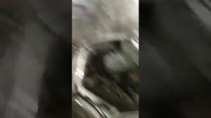 Рома меняет сцепление рено кангу 1