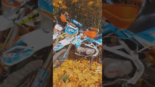 питбайк kayo basic yx125 17/14 krz смотреть онлайн