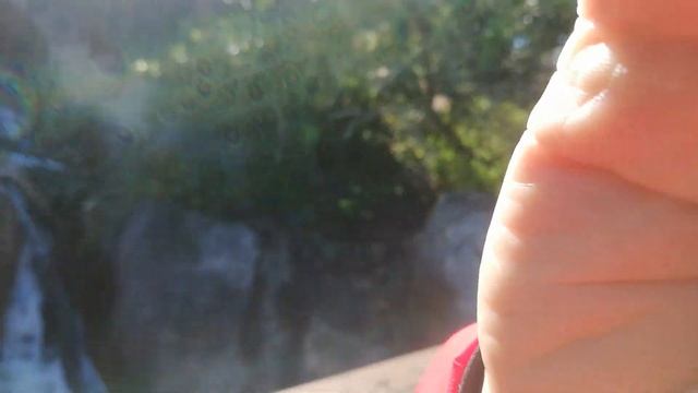 Приветствую Полоцк, Новополоцк и Беларусь с красивого водопада Golden Gate park. смотреть онлайн