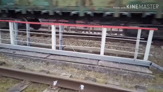 🌲🌿Гуляем в лесу🌳/🚇заброшенный поезд/подруга упала в болото😲 смотреть онлайн