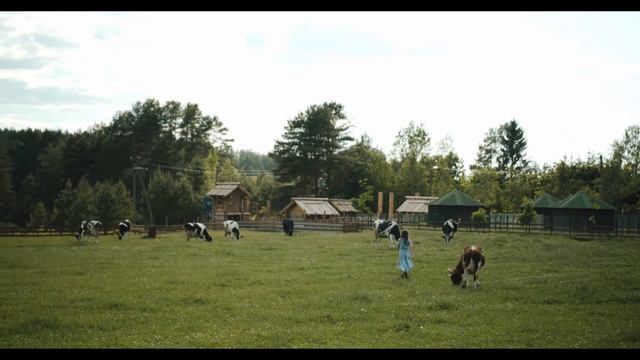 ● Rhythmic Country Music Tunes ● Dance Tunes, Ballad, Western ● Fiddle, Banjo, Guitar, Harmonica ● смотреть онлайн