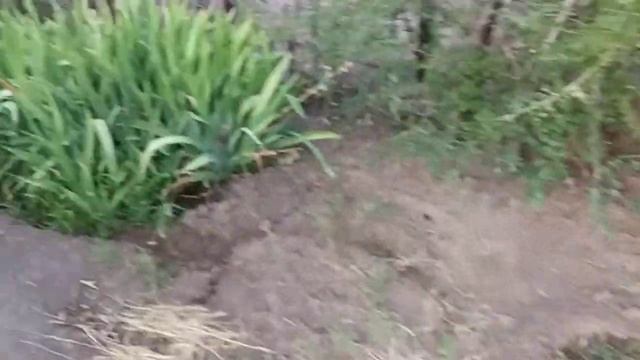 Дача 6 соток с домом 25 м² в кооперативе Водник 2 Ахтубинск смотреть онлайн