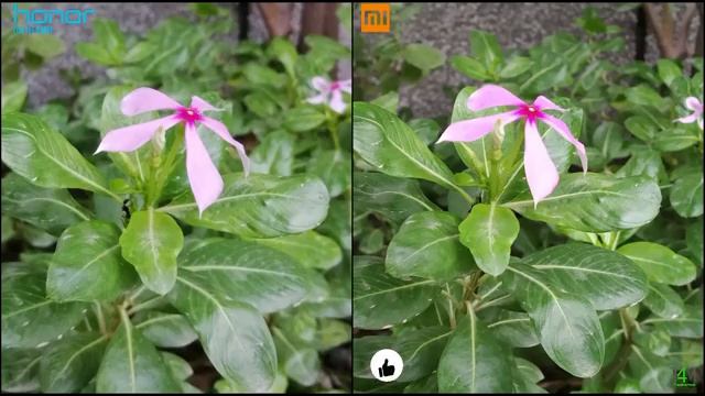Honor 9N Vs Redmi Note 5 Pro Camera Comparison|Honor 9N Camera Review