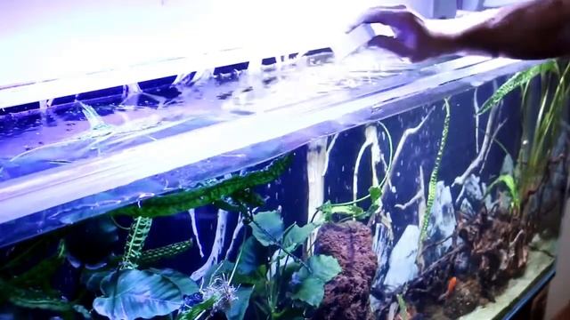 ACCESSORY 011, 012, 013, 014, 015, 016, 017