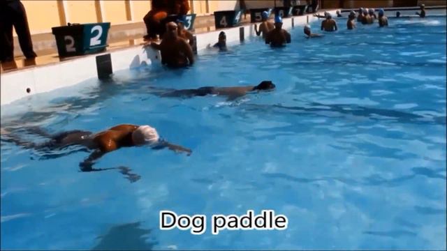 Learn to Swim for Biginners | Swimming | Documentary | In English смотреть онлайн