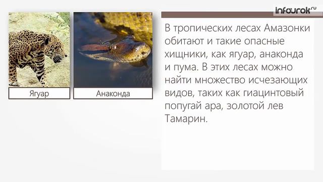 Многообразие экосистем смотреть онлайн