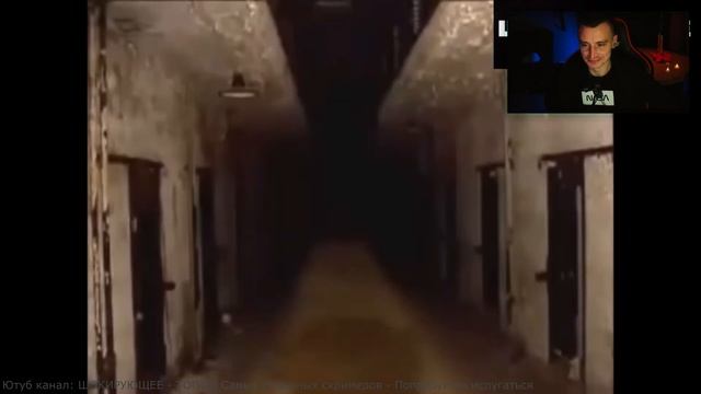 РЕАКЦИЯ ТОП 10 самых страшных СКРИМЕРОВ смотреть онлайн
