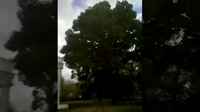 Парк в могилеве подольском смотреть онлайн