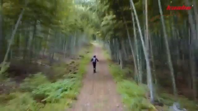 kaabo wolf worrier 11 смотреть онлайн