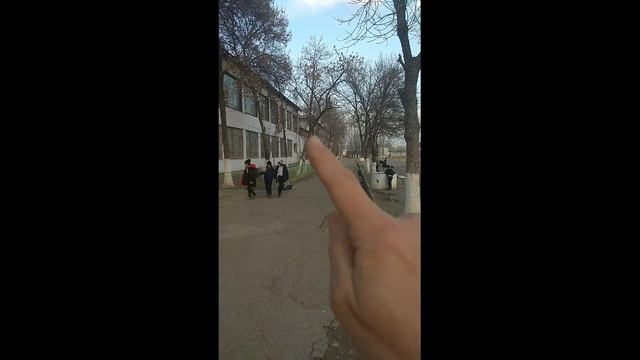 Узбекистан город Гулистан Школа №8 им. А.С Макаренко смотреть онлайн