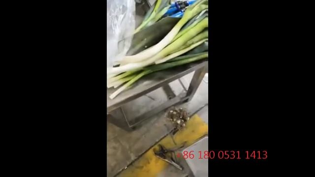 Машина для мойки и пилинга картофеля смотреть онлайн