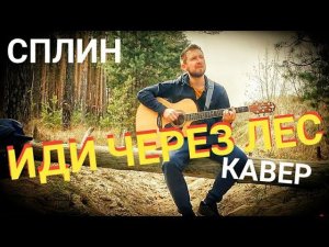 Иди через лес - Сплин / кавер / Казлитин /одна из любимых песен