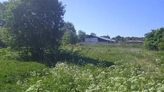 Ой, цветет калина... смотреть онлайн