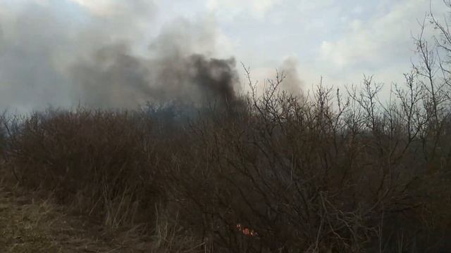 Вот к чему привело поджигание травы... смотреть онлайн