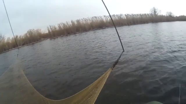Как поймать живца в ноябре смотреть онлайн