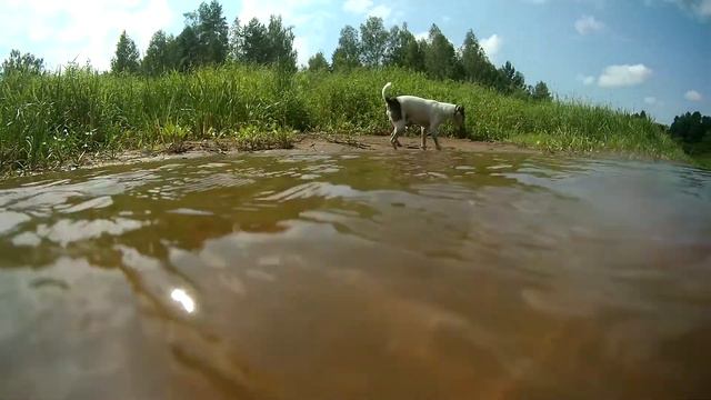 Фокус на речке смотреть онлайн