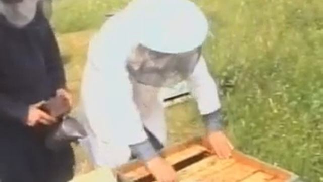 Лезгинские Пчеловоды смотреть онлайн
