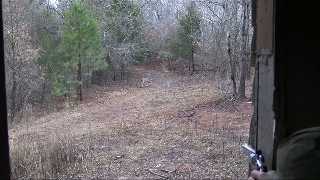 Smith & Wesson .357 Magnum | Deer Hunting Out Of An Abandoned Trailer | смотреть онлайн
