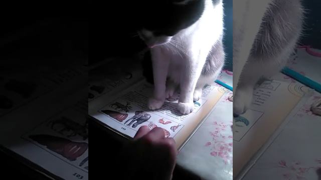 Не даёт делать уроки смотреть онлайн