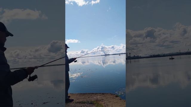 Как ловить рыбу на спиннинг? джиг с берега. How to fish with a spinning rod? Fishing. #shorts смотреть онлайн