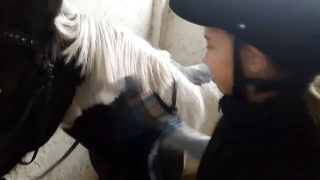 УРОК СЕДЛОВКИ И ЧИСТКИ ЛОШАДИ. КАК СЕДЛАТЬ ЛОШАДЬ. смотреть онлайн