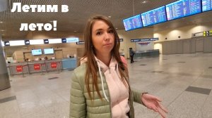 ЛЕТИМ В ЕГИПЕТ! Дьюти-фри в Домодедово/Задержка рейса/ Авиакомпания EgyptAir/Египет 2023