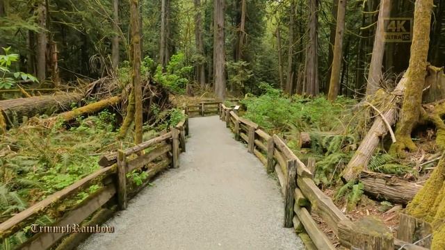 Parksville BC 20220516 4K UHD смотреть онлайн