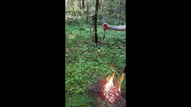 Темный Лис Василиса стихи Даны Курской смотреть онлайн